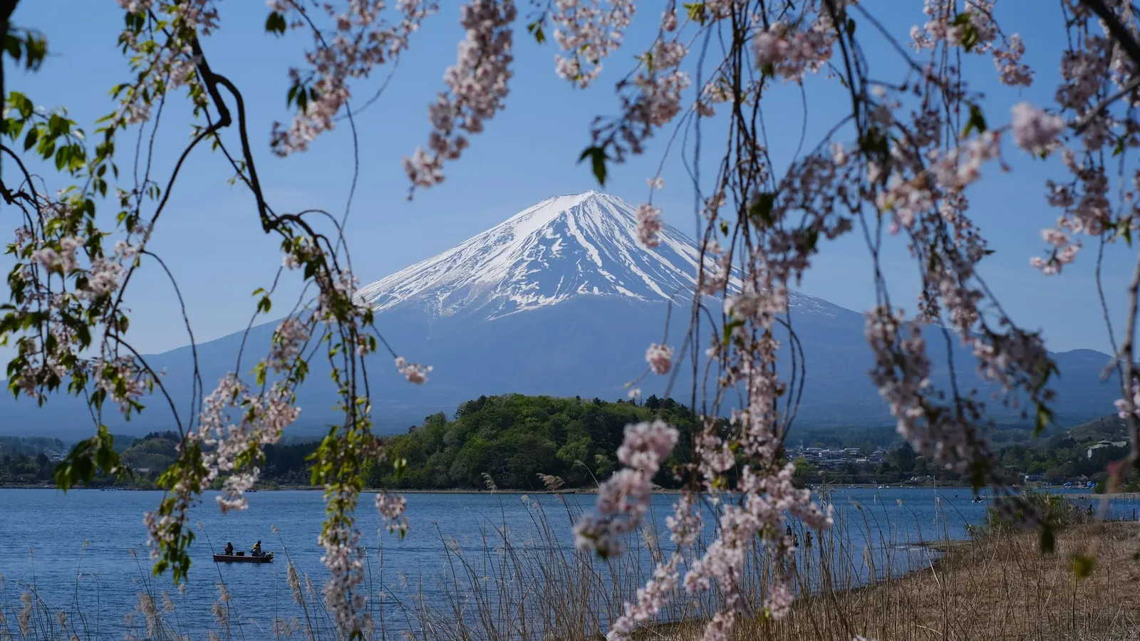 Working holiday in Japan